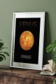 Dekoratif Venüs Beyaz Çerçeveli Tablo